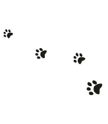 Group 2
